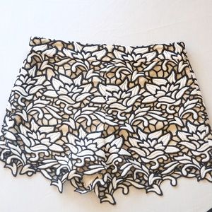 Alice + Olivia Black lace high waisted shorts